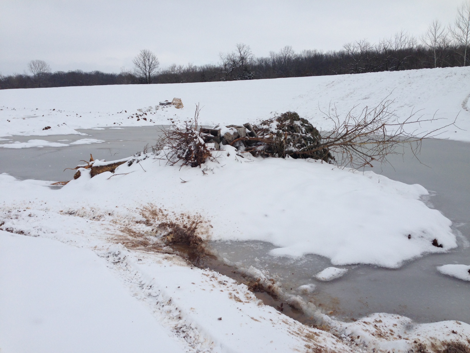 Attached picture pond snow pile.JPG